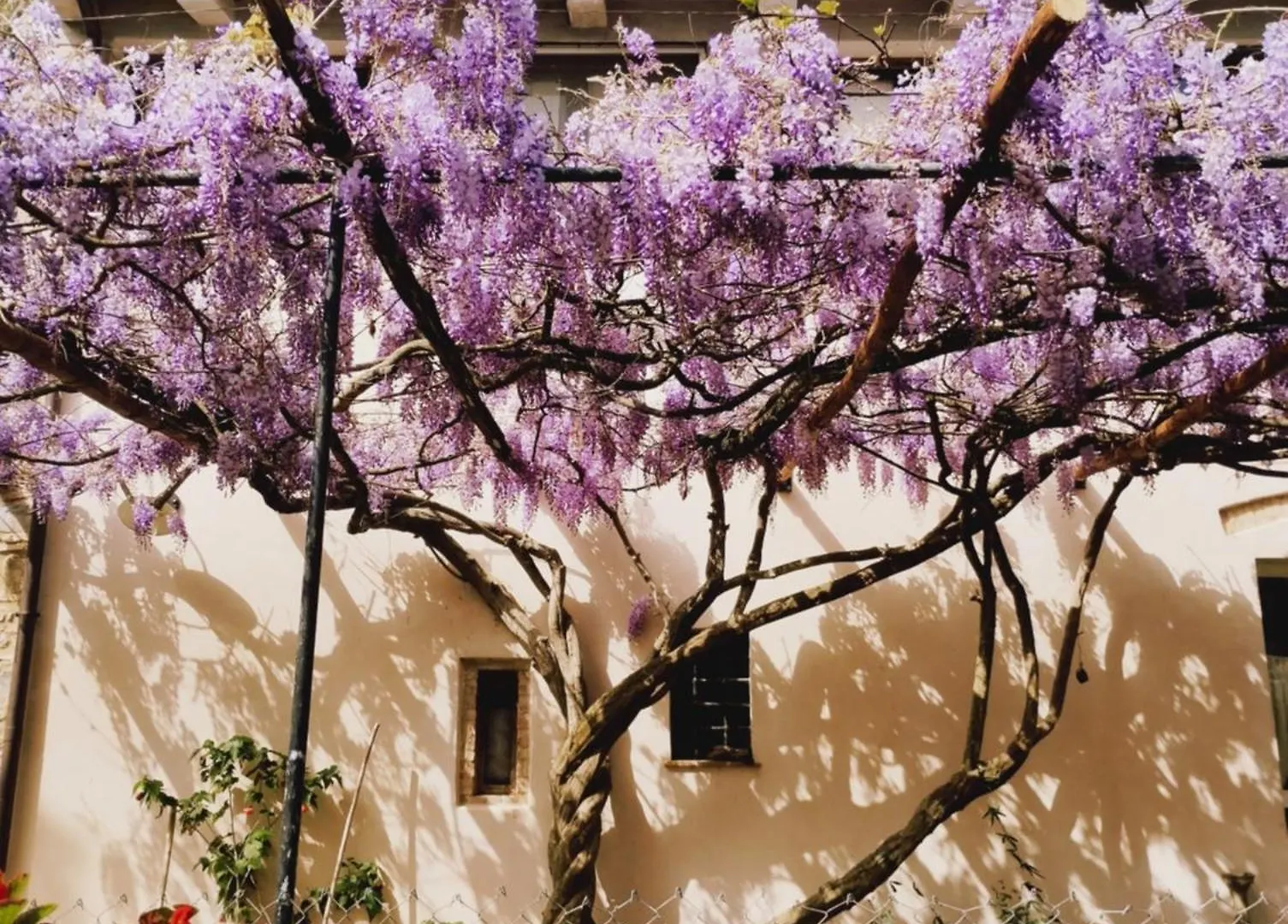 Villa Marrucheto Giuncarico Alloggio per agriturismo
