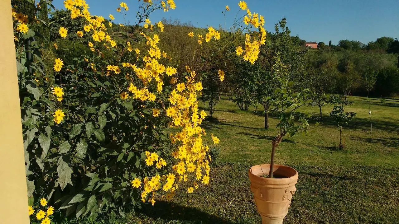 Villa Marrucheto Giuncarico 0*,